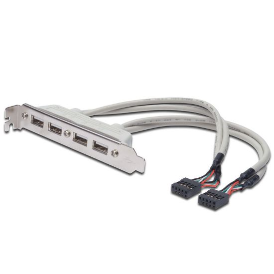 Εικόνα της ΛΑΜΑΚΙ USB2.0  4 Port 25cm